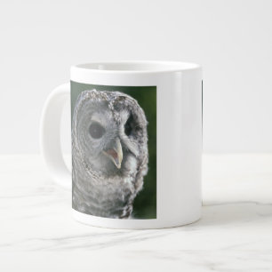 Caneca De Café Grande EUA, Estado de Washington. Coruja-barreada (Strix 
