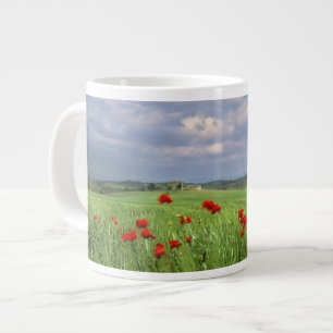 Caneca De Café Grande Europa, Toscana, Poggiolo. Papoulas vermelhas bala