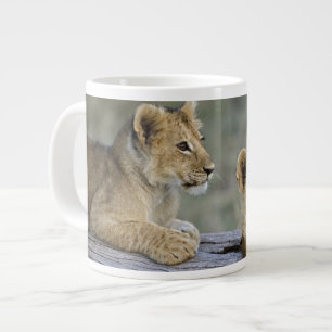 Caneca De Café Grande Filhotes de Leão no Tronco