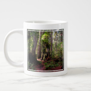 Caneca De Café Grande Florestas Sequoias Forest California
