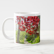 Folhas Vermelhas e Caminho de Martha