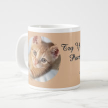 Foto de Gato, Texto, substituível, Divertido, Aman