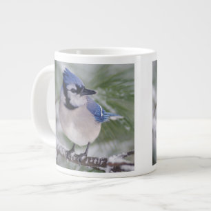 Caneca De Café Grande Gaio-azul, Cyanocitta cristata