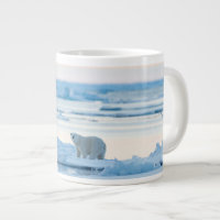 Gelo e neve | Polar Bear Iceberg Noruega