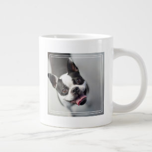 Caneca De Café Grande Imagens Getty   Buldogue francês