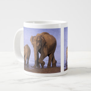 Caneca De Café Grande Índia, Parque Nacional Nagarhole. Elefante asiátic