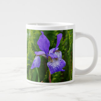 Caneca De Café Grande Iris sibirica fotografia floral