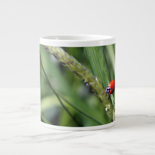 Caneca De Café Grande Joaninha (Coccinellidae)