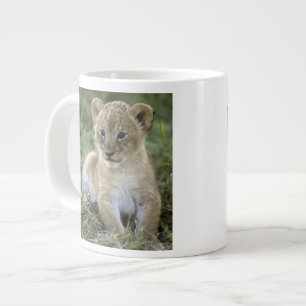 Caneca De Café Grande leão-africano, Panthera leo), Tanzânia,