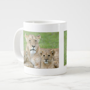 Caneca De Café Grande Leoa e Dois Filhotes, África Oriental, Tanzânia,