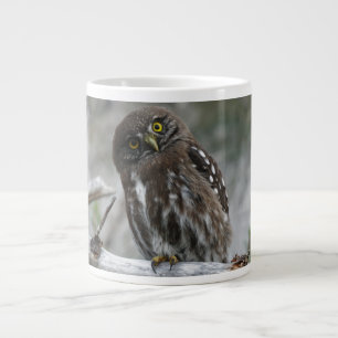 Caneca De Café Grande Norte Pygmy Owl