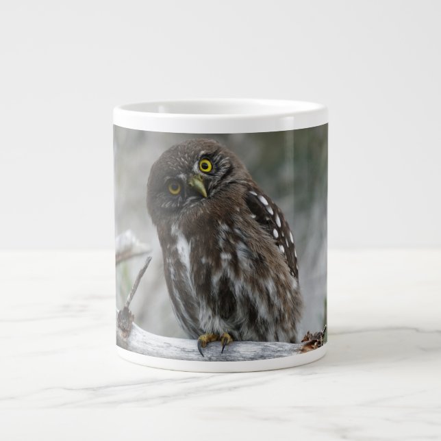 Caneca De Café Grande Norte Pygmy Owl (Frente)