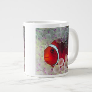 Caneca De Café Grande Papua-Nova Guiné, Grande Barreira de Coral,