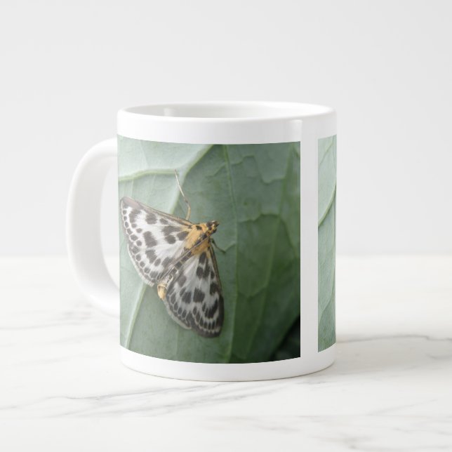 Caneca De Café Grande Pequena Lama de Mama (Frente Esquerda)