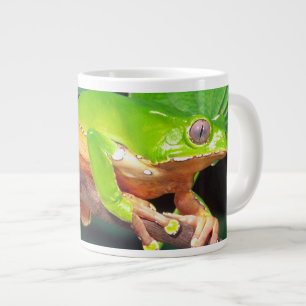 Caneca De Café Grande Perereca-macaco gigante bicolor, Phyllomedusa