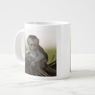 Caneca De Café Grande Quênia, Reserva de Caça Samburu. Macaco Vervet