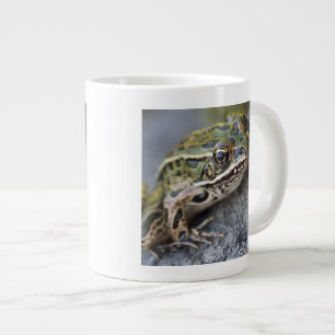 Caneca De Café Grande Rã-leopardo-do-norte, Ilha Transparente,