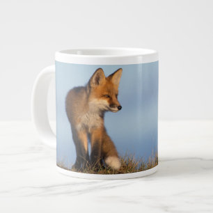 Caneca De Café Grande raposa-vermelha, Vulpes vulpes