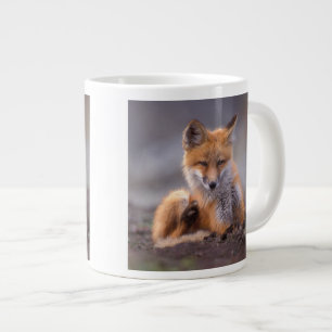 Caneca De Café Grande raposa vermelha, Vulpes vulpes, filhote coçando-se