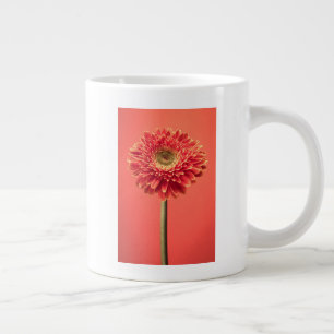 Caneca De Café Grande Red Barberton Gerbera Daisy Flower