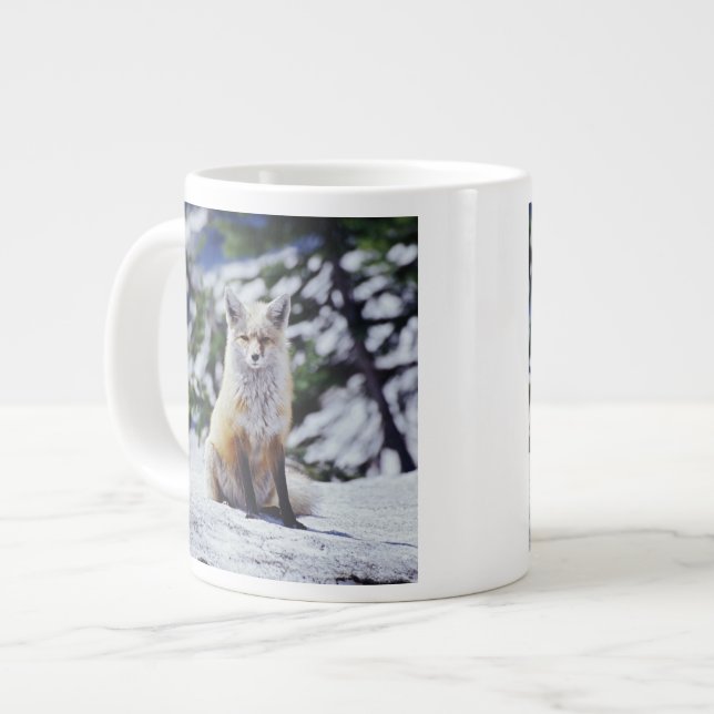 Caneca De Café Grande Red Fox sentado no banco de neve, Vulpes, Monte. (Frente Esquerda)