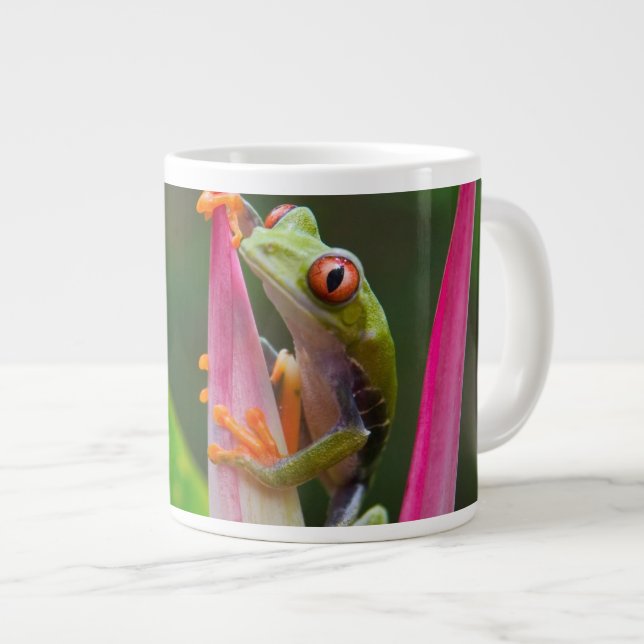 Caneca De Café Grande Sapo de árvore de olhos vermelhos, Costa Rica (Frente Esquerda)