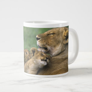 Caneca De Café Grande Tanzânia, Cratera de Ngorongoro. Mãe de leão afric