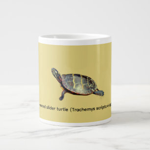 Caneca De Café Grande Tartaruga de orelha vermelha