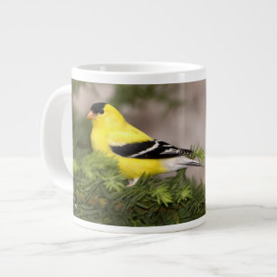 Caneca De Café Grande Tentilhão-dourado-americano macho em uma árvore