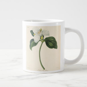 Caneca De Café Grande Trilium com Flor Grande