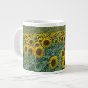 Caneca De Café Grande UE, França, Provença, Campo de girassóis