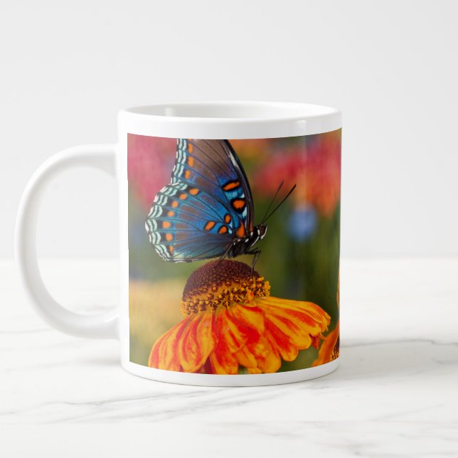 Caneca De Café Grande Uma Spicebush Swallowtail, Papilio troilus (Esquerda)