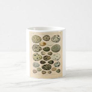 Caneca De Café Gravura a água-forte zoológico clássica - ovos 