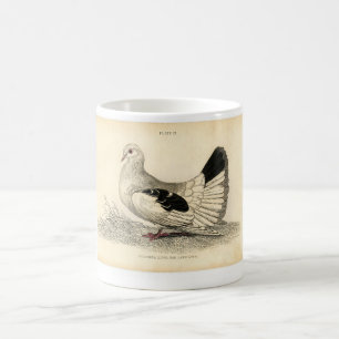 Caneca De Café Gravura a água-forte zoológico clássica - pomba