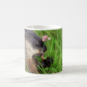 Caneca De Café Groundhog Comedor de Vestuário