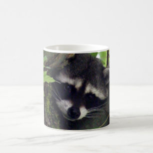 Caneca De Café Guaxinim