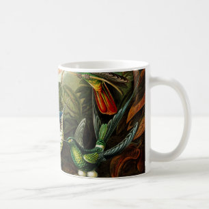 Caneca De Café Haeckel