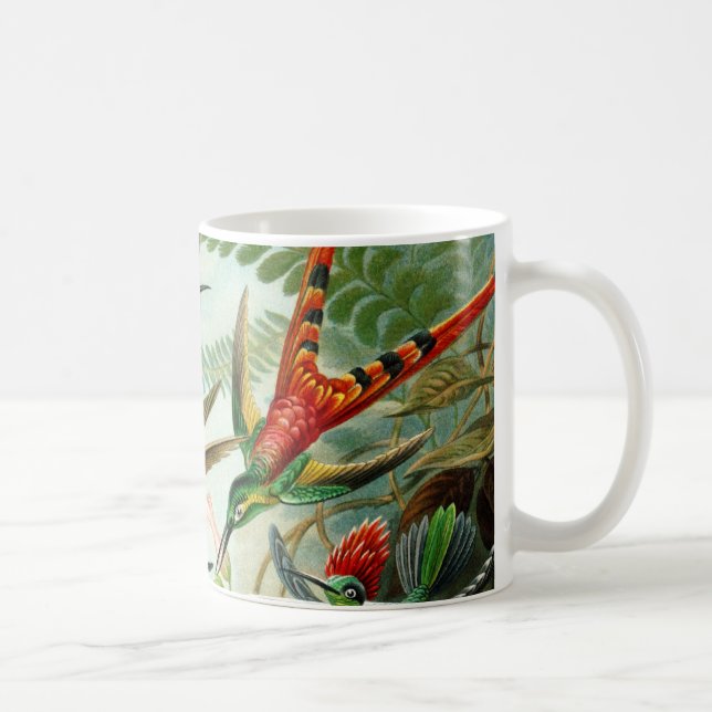Caneca De Café Haeckel Hummingbird (Direita)