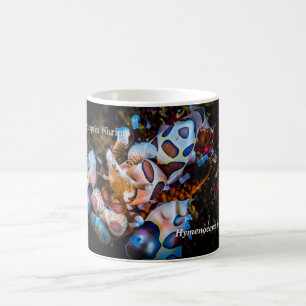 Caneca De Café Harlequin Shrimp, Hymenocera picta,