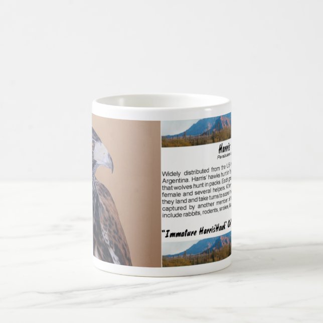 Caneca De Café Harris Hawk imaturo (Centro)