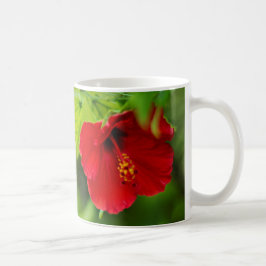 Caneca De Café Hawaii Red Hibiscus Flower