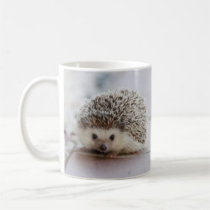 Caneca De Café Hedgehog
