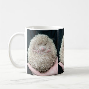 Caneca De Café Hedgehog