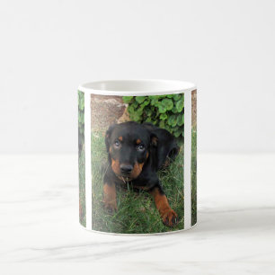 Caneca De Café Heidi Guilty Puppy Mug