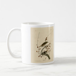 Caneca De Café Hermit Thrush das Aves da América de Audubon