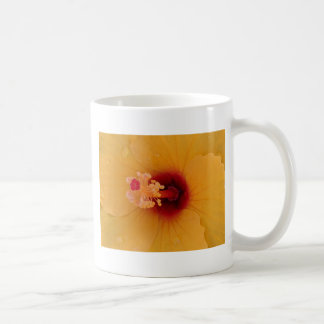 Caneca De Café Hibiscus