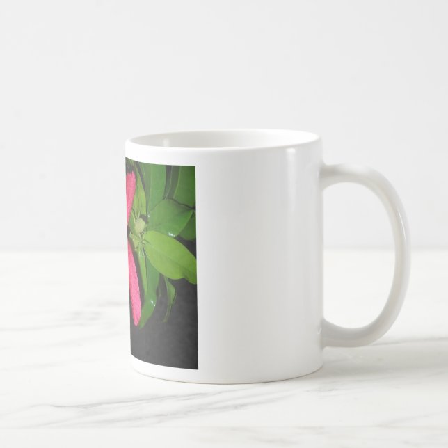 Caneca De Café hibiscus à flores vermelhas (Direita)