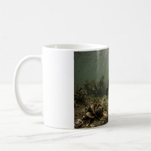 Caneca De Café Homem da Flórida Black Drum Bay Oyster Bar Peixe C