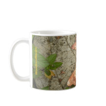 Hora do Café com WoodlandRealm