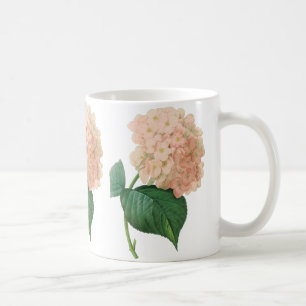 Caneca De Café Hortênsia Rosa Antiga Flor de Hortênsia por Redout